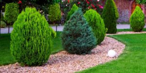 The Top 4 Lawn Care Mistakes You Can Make This Spring! The Top 4 Lawn Care Mistakes You Can Make This Spring!
