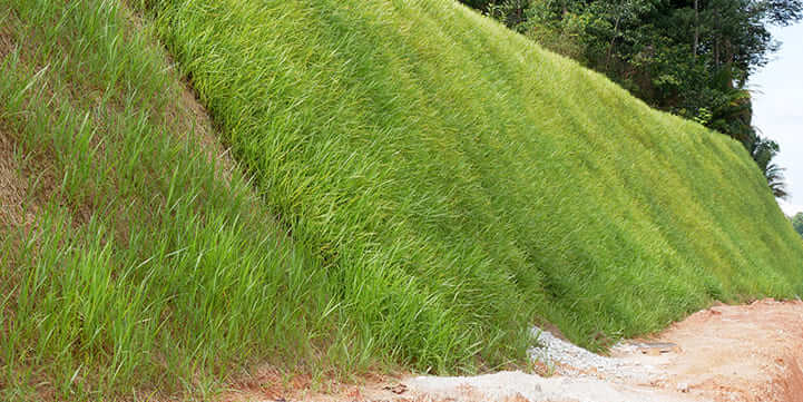 Expert Erosion Control In Olean, NY