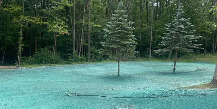 Expert Hydroseeding Services for Olean, NY