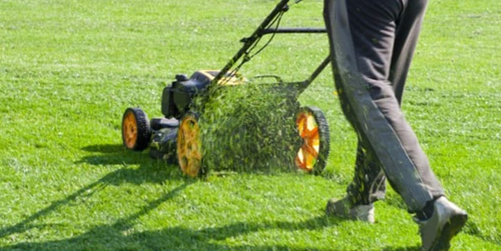 Expert Lawn Mowing Services in Olean, NY