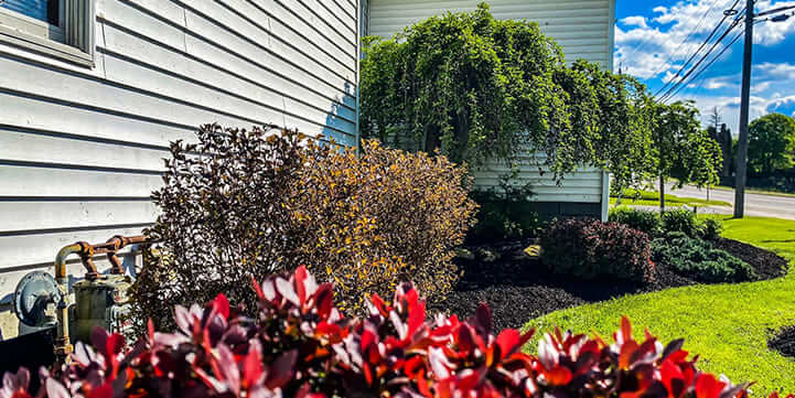 Professional Landscaping Services For Olean, NY