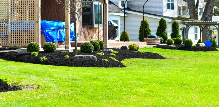 ny lawn seeding fertilizing and soil prep