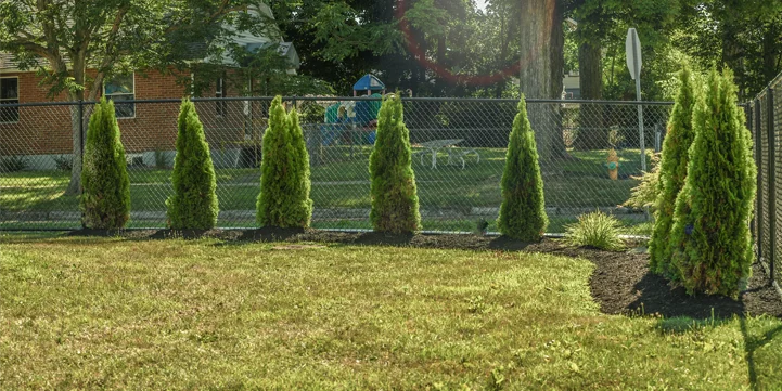lawn care services richburg ny