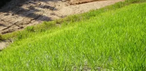 Erosion Control on Hilly Lots in Cattaraugus County: What Actually Works (And What Doesn't) erosion control on hilly lots in cattaraugus county