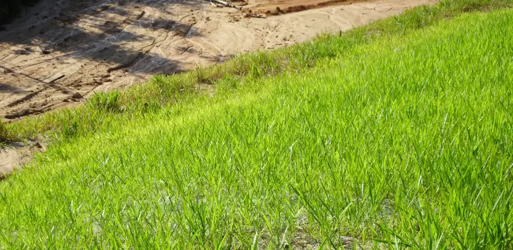erosion control on hilly lots in cattaraugus county
