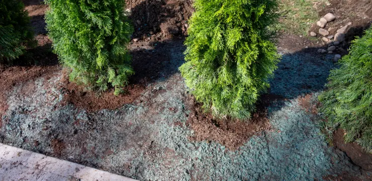 hydroseeding olean ny lawn installation