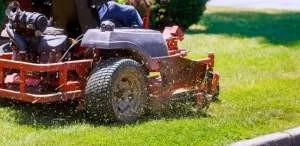 The Complete Olean Lawn Treatment Schedule for Homeowners olean lawn treatment schedule for western ny homeowners