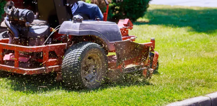 olean lawn treatment schedule for western ny homeowners