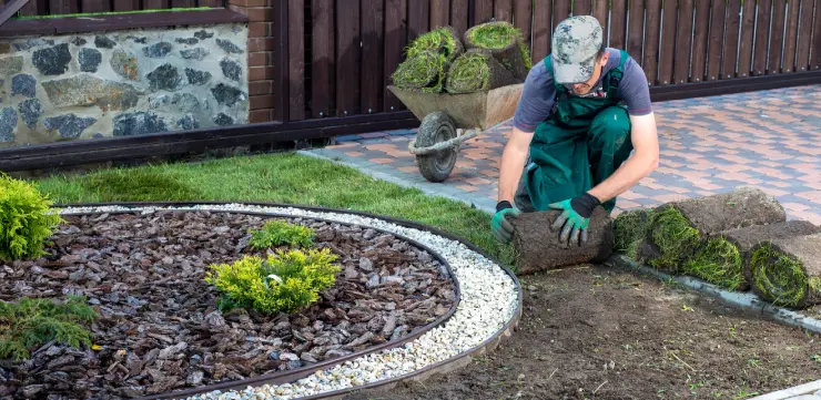 schedule landscape renovations olean ny