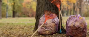 When Should You Schedule Leaf Removal in Olean, NY? A Western New York Homeowner's Guide schedule leaf removal in olean ny