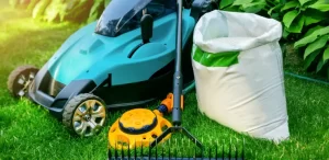 spring cleanup services cattaraugus county