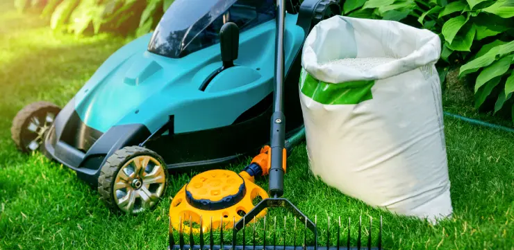 spring cleanup services cattaraugus county
