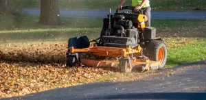 fall yard cleanup