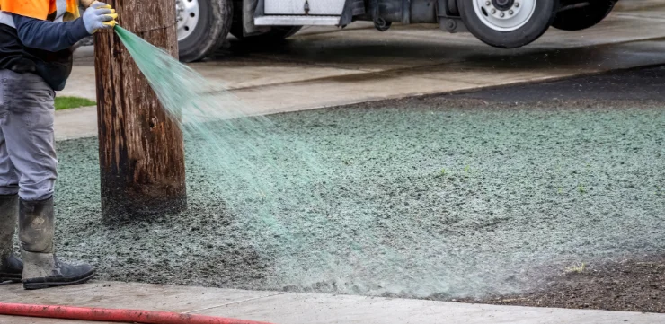 hydroseeding vs sod for your yard