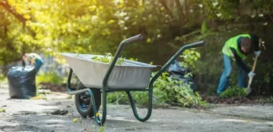 Spring Yard Cleanup Checklist: 9 Things to Do in Western New York spring-yard-cleanup-checklist-western-new-york